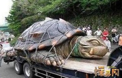 ​十大最恐怖的乌龟