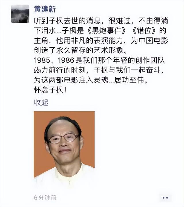 刘子枫人物简介（老戏骨刘子枫逝世）(5)