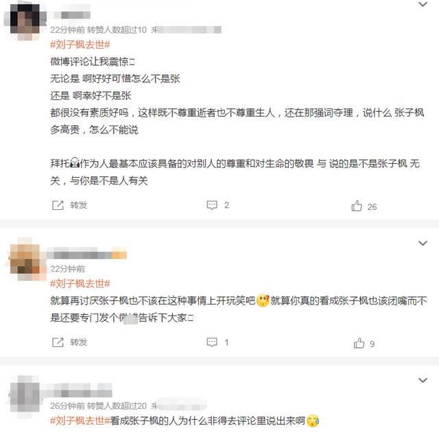 刘子枫人物简介（老戏骨刘子枫逝世）(17)