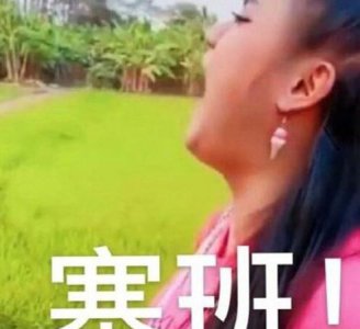 ​塞班是什么意思抖音，用来形容手机的：塞班是什么意思？