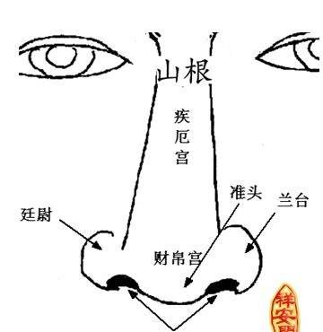 山根是什么部位相图,山根是哪里图片图3