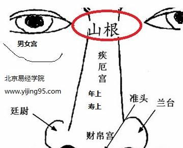 山根是什么部位相图：山根指哪里
