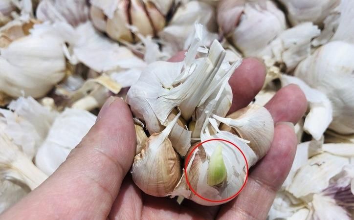 大蒜外皮有点霉了能不能吃
