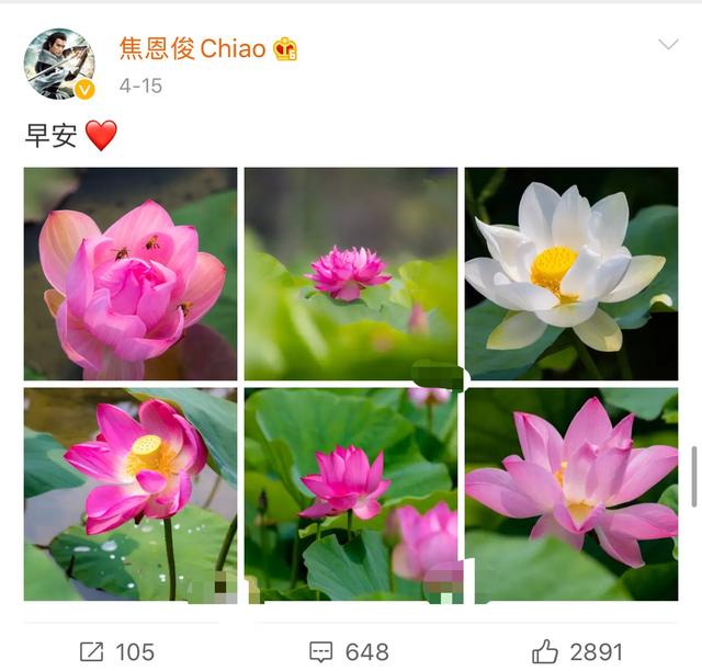 焦恩俊晒两女儿近照 52岁焦恩俊晒近照(7)
