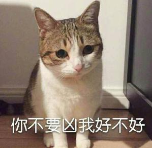 刺激战场新版本国际服更新内容（刺激战场新正式服降临）(3)