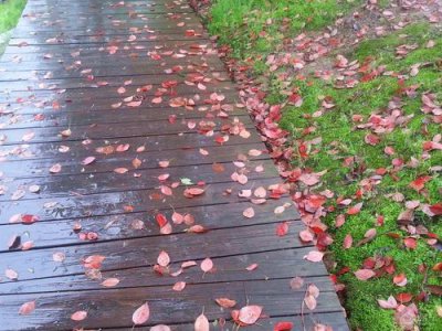 ​夜阑风静欲归时（夜来风雨骤春梦了无痕）