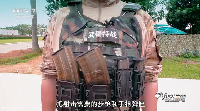 95式自动步枪基本数据（95自动步枪配备透明弹匣惊艳亮相）(6)