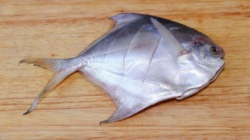 鱼的做法大全家常菜(鱼的做法大全家常菜清炖鱼)-第1张图片-