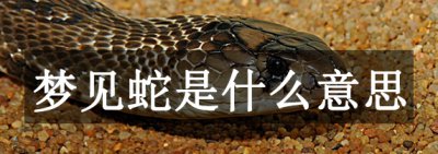 ​梦睹蛇是什么道理？