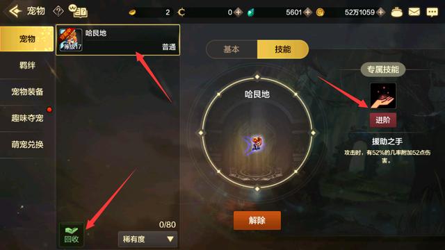 dnf手游韩服30级宠物怎么继续进化（平民史诗宠物才算毕业）(4)