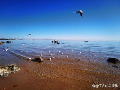 ​秦皇岛景点排行榜前十名(秦皇岛景点攻略)