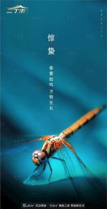 ​惊蛰 节气，惊蛰节气时间表？