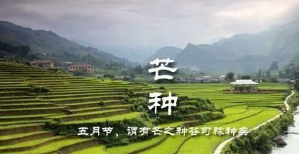 惊蛰 节气，惊蛰节气时间表？图5