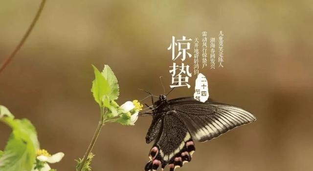 惊蛰 节气，惊蛰节气时间表？图6