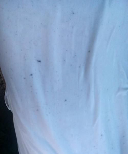 衣服上的霉斑对身体有害吗