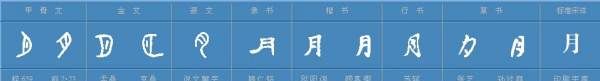 月字的来历故事,月汉字的演变过程讲解图15