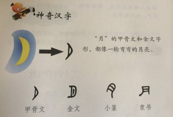 月字的来历故事,月汉字的演变过程讲解图17