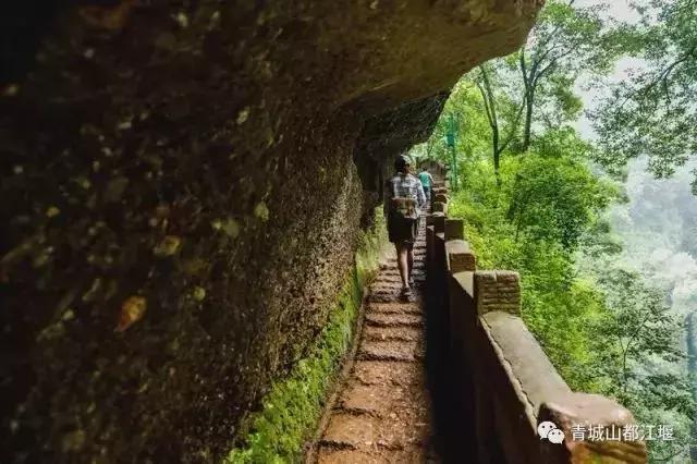 青城山与青城后山的区别（凭什么说青城山道行天下）(9)