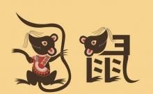 1971年属相属什么