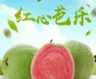 音乐分为几个流派