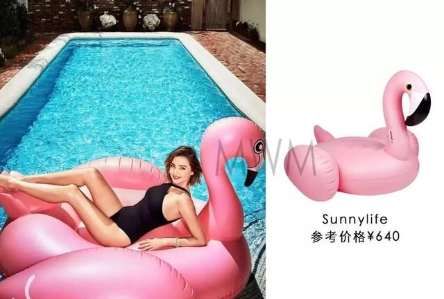 粉红色火烈鸟什么寓意,粉红色的鹤叫什么名字?图8