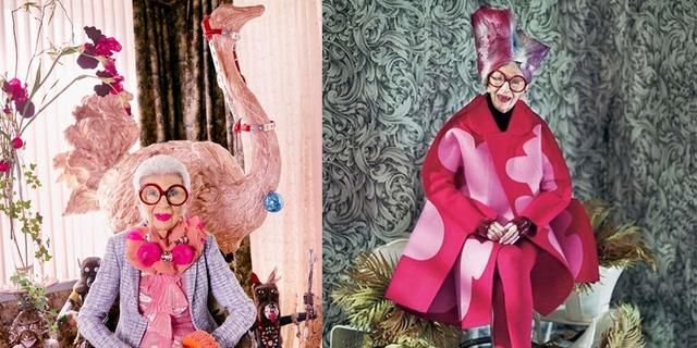 粉红色火烈鸟什么寓意,粉红色的鹤叫什么名字?图9