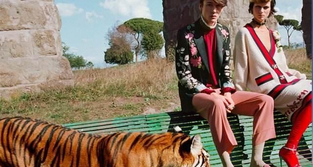 粉红色火烈鸟什么寓意,粉红色的鹤叫什么名字?图7