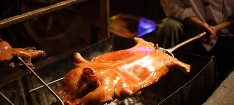 烤乳猪是哪个菜系:烤乳猪是哪个菜系的好不好