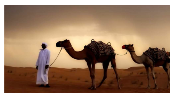 中东指的是哪些国家,中东国家有哪些图5