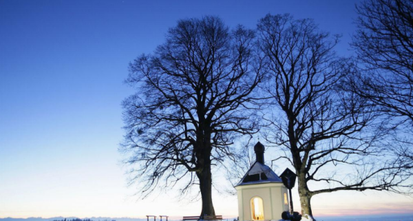 描写冬天景色优美句子,描写冬天美丽景色的句子20字图1