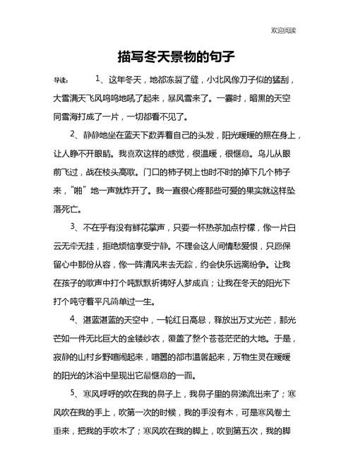 描写冬天景色优美句子300字