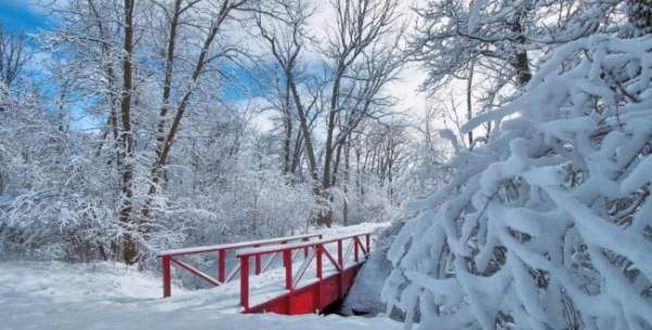 描写冬天景色优美句子,描写冬天美丽景色的句子20字图6