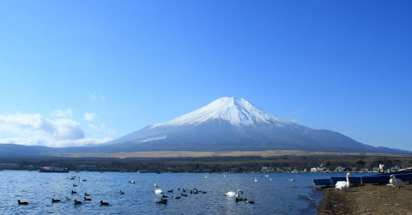 英国和日本哪个面积大,英国跟日本哪个国家强?图3