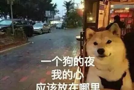 什么单身狗啊