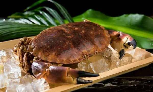 面包蟹有什么营养价值,面包蟹需要蒸多久可以吃图2
