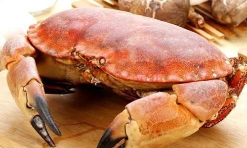 面包蟹有什么营养价值,面包蟹需要蒸多久可以吃图4