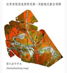 ​世界首张恐龙彩照写真在大连天生（图）