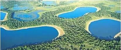 为什么湿地会被称为“地球之肾”呢