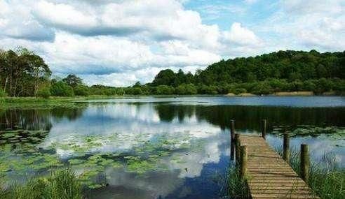 湿地又称为地球之,湿地与森林、海洋并称为地球的三大生态系统.其中湿地又被称为“地球之肾”,下列不属于湿地功能的是(?图4