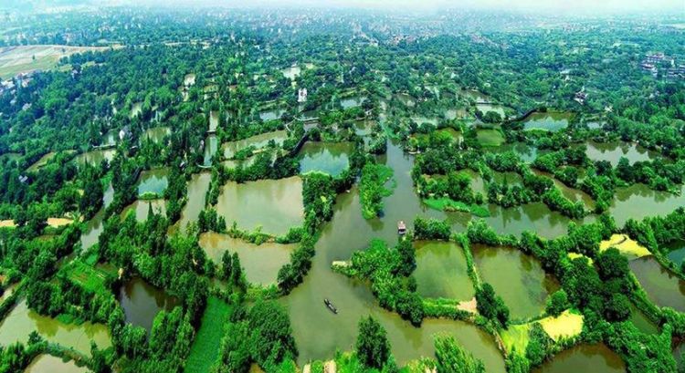 湿地与森林、海洋并称为地球的三大生态系统.其中湿地又被称为“地球之肾”,下列不属于湿地功能的是(