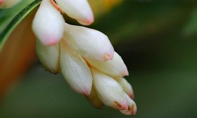 襁褓、孩提、豆蔻年华、不惑之年、知天命、古稀是多少岁