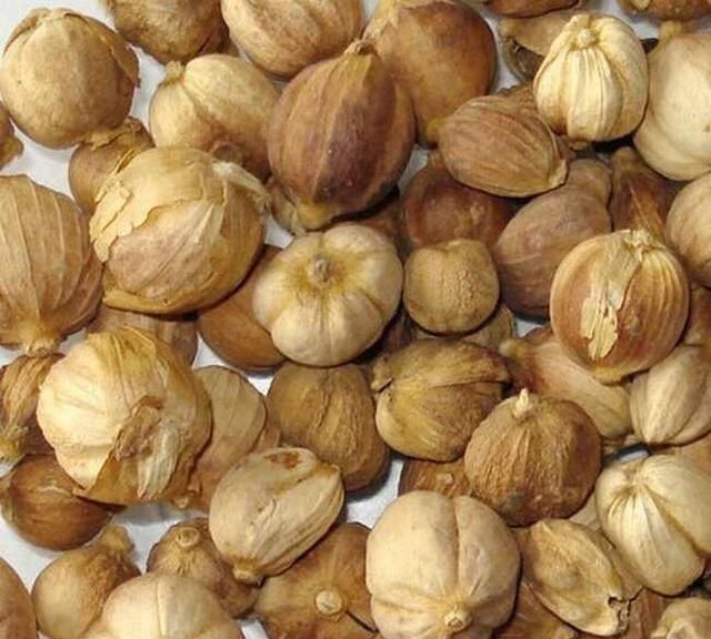 豆蔻年华是多少岁,襁褓、孩提、豆蔻年华、不惑之年、知天命、古稀是多少岁?图5