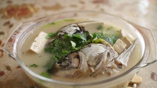 烧鲫鱼豆腐汤可以放牛奶吗
