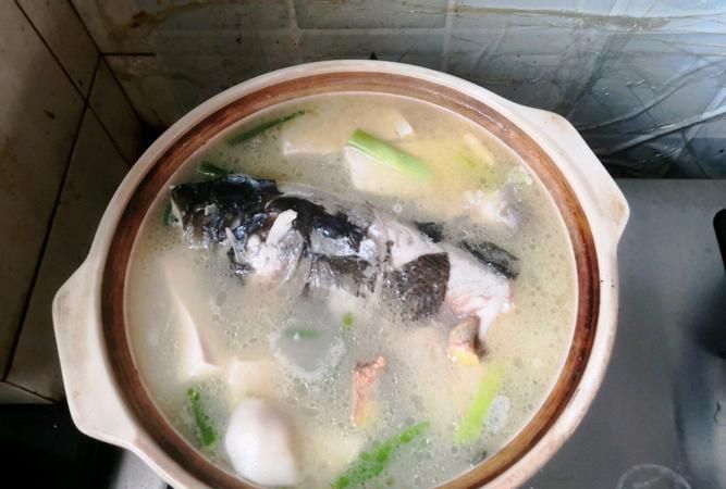 鱼头豆腐汤怎么炖好喝又营养丰富