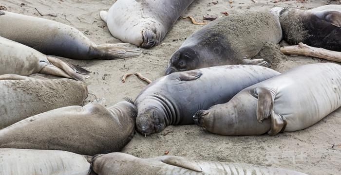 为什么蜗牛称为瞌睡大王请用短和文中理由