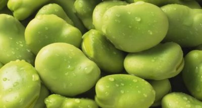 ​什么食物里含萃枫苷,萃枫苷存在于什么食物中