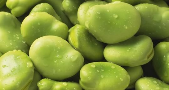 萃枫苷存在于什么食物中