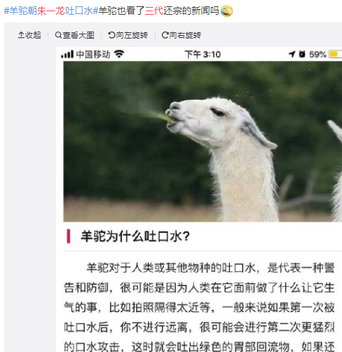 羊驼吐口水拟音词