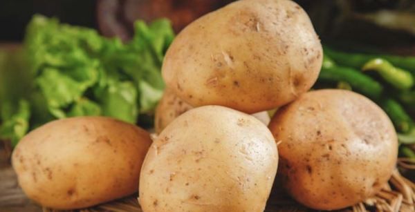 土豆长了一点点小芽可以吃,土豆发了一点小芽还能吃吗图2