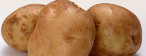 土豆发了一点小芽还能吃吗